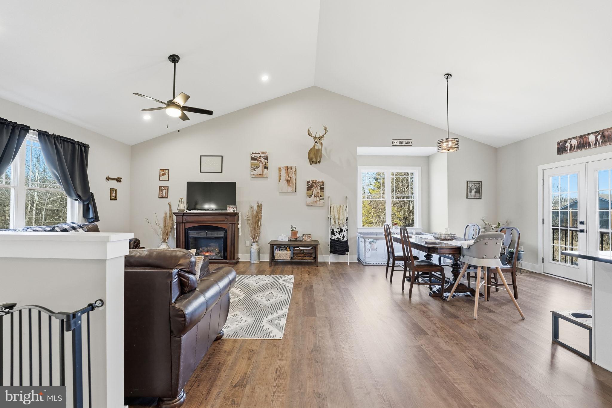 11183 Drogheda Mountain Road Culpeper, VA 22701 - Photo 12 of 60 a living room with fireplace furniture and a wooden floor