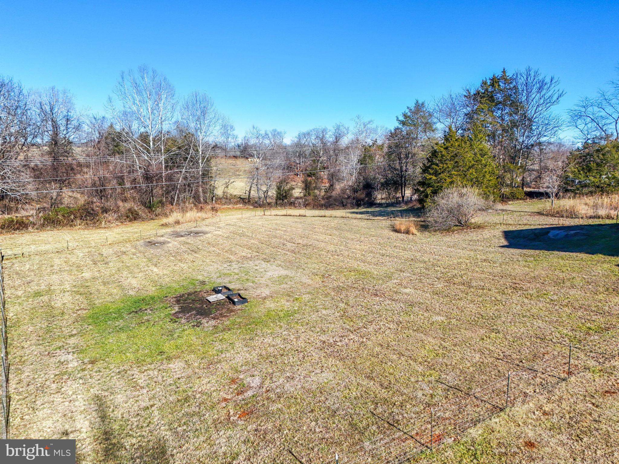 11183 Drogheda Mountain Road Culpeper, VA 22701 - Photo 51 of 60 a view of yard with trees