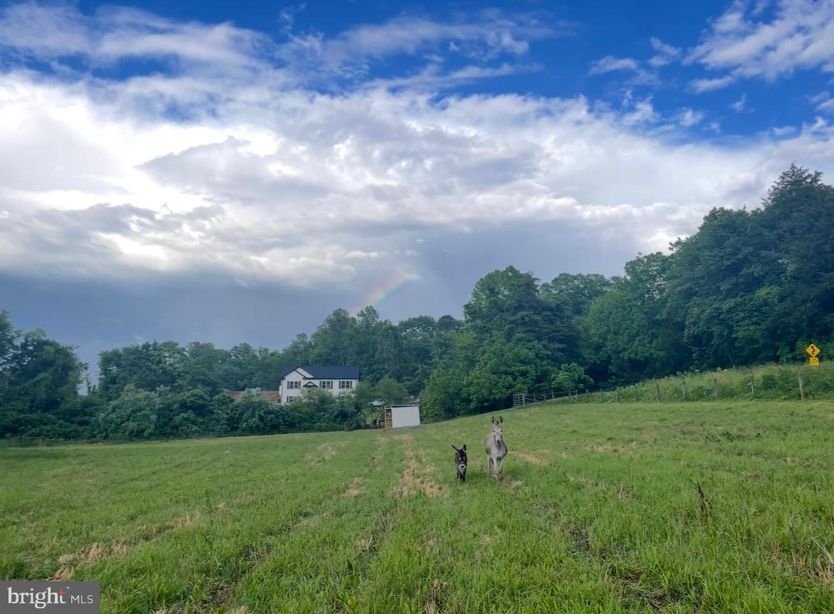 11183 Drogheda Mountain Road Culpeper, VA 22701 - Photo 52 of 60 a view of a big yard with lots of green space