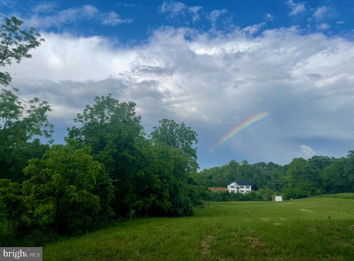 11183 Drogheda Mountain Road Culpeper, VA 22701 - Photo 57 of 60 a view of a garden with a building in the background