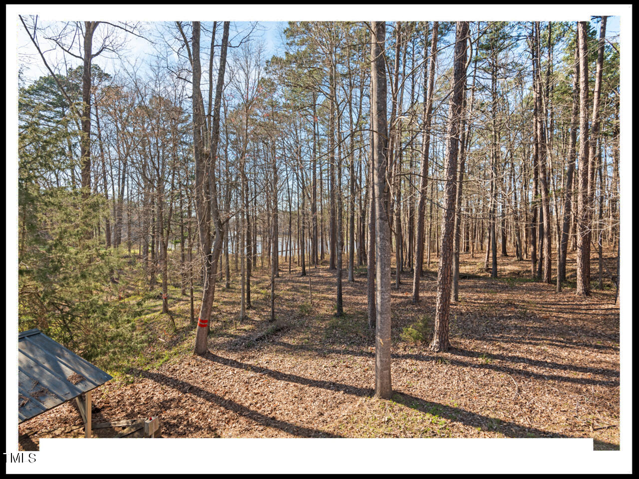 490 Flanagan Road Henderson, NC 27537 - Photo 51 of 92 49