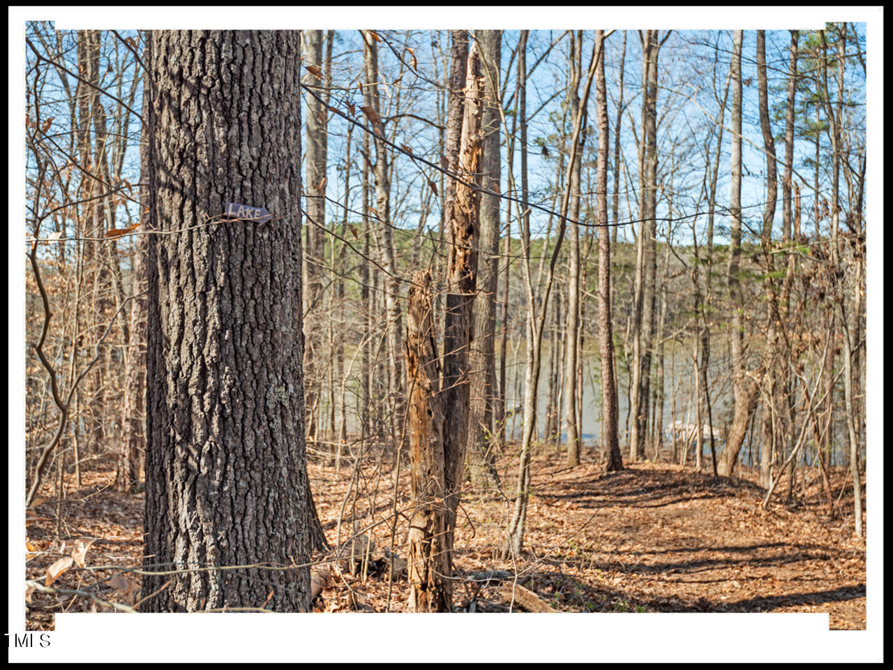 490 Flanagan Road Henderson, NC 27537 - Photo 69 of 92 67