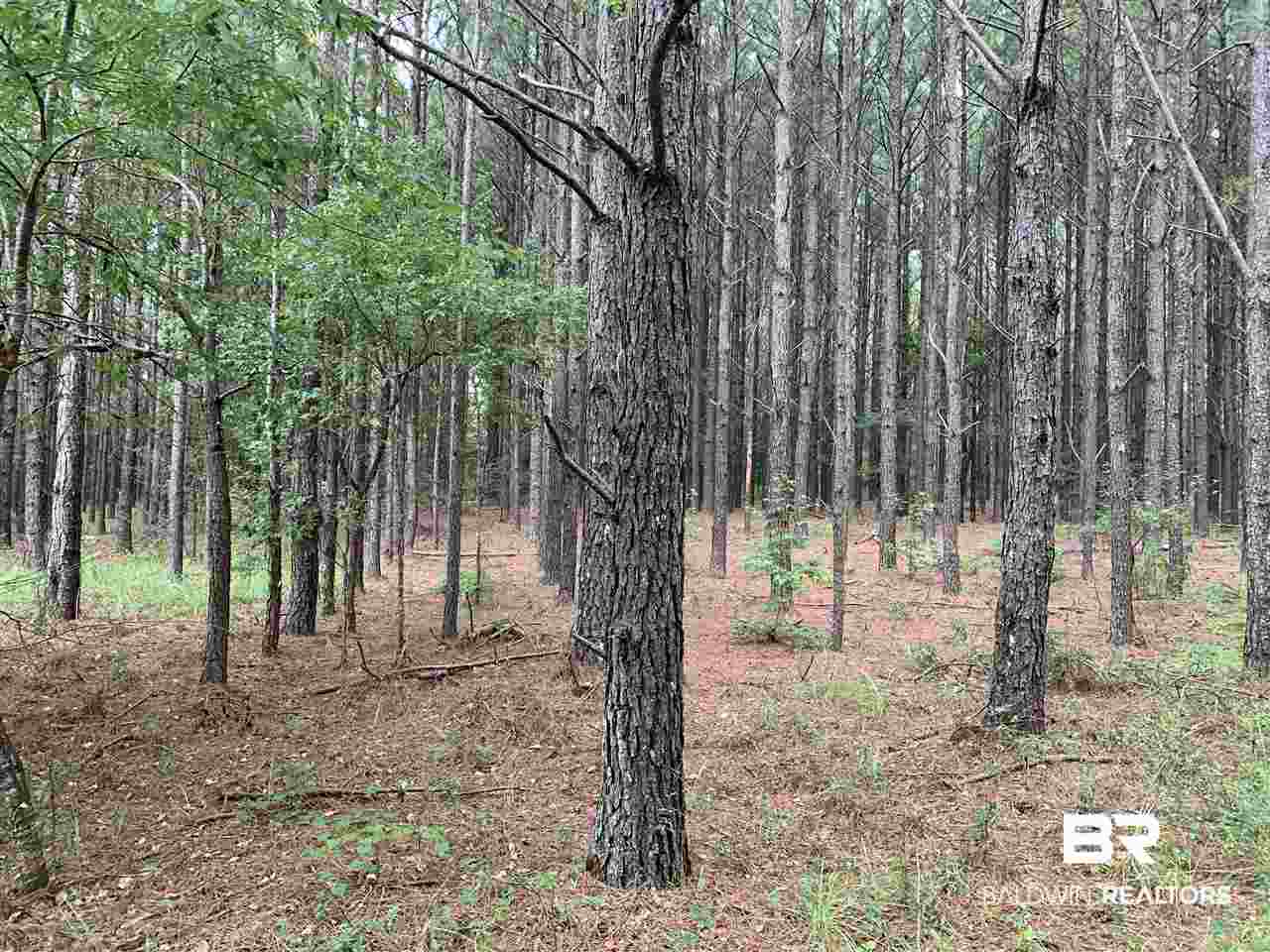 1178 Dry Lake Road Luverne, AL 36049 - Photo 28 of 50
