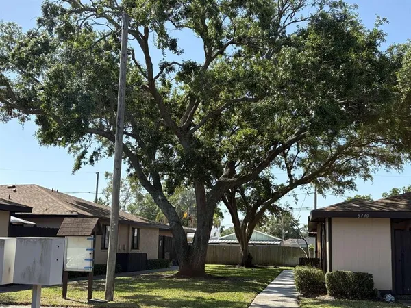 a view of a trees in front of a house