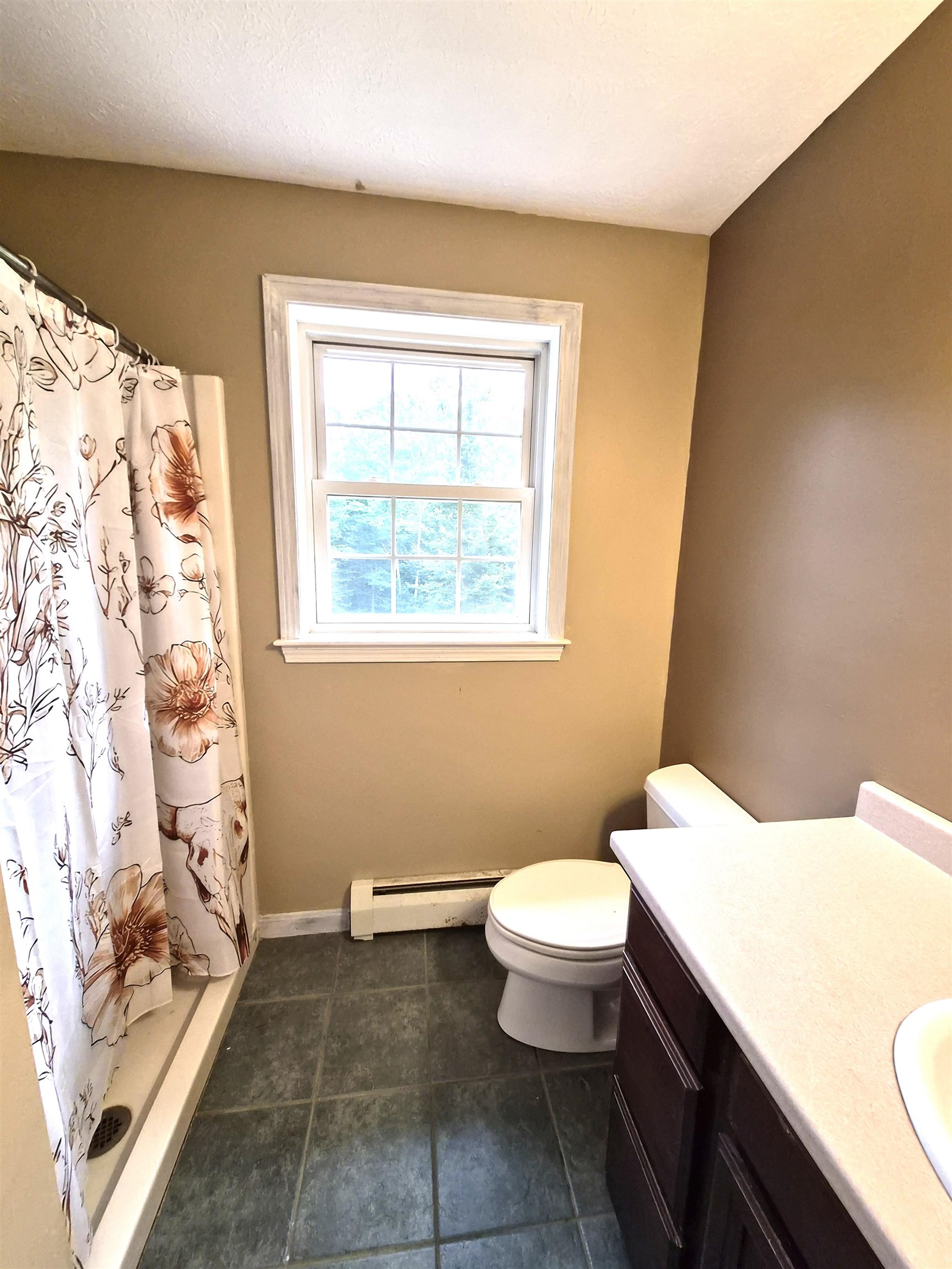 238 Slip Road Greenfield, NH 03047 - Photo 15 of 20