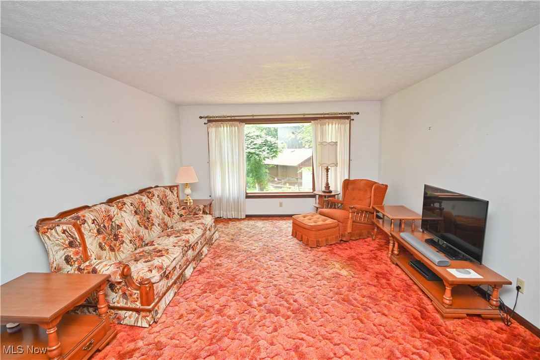 5735 Herbert Road Canfield, OH 44406 - Photo 4 of 48