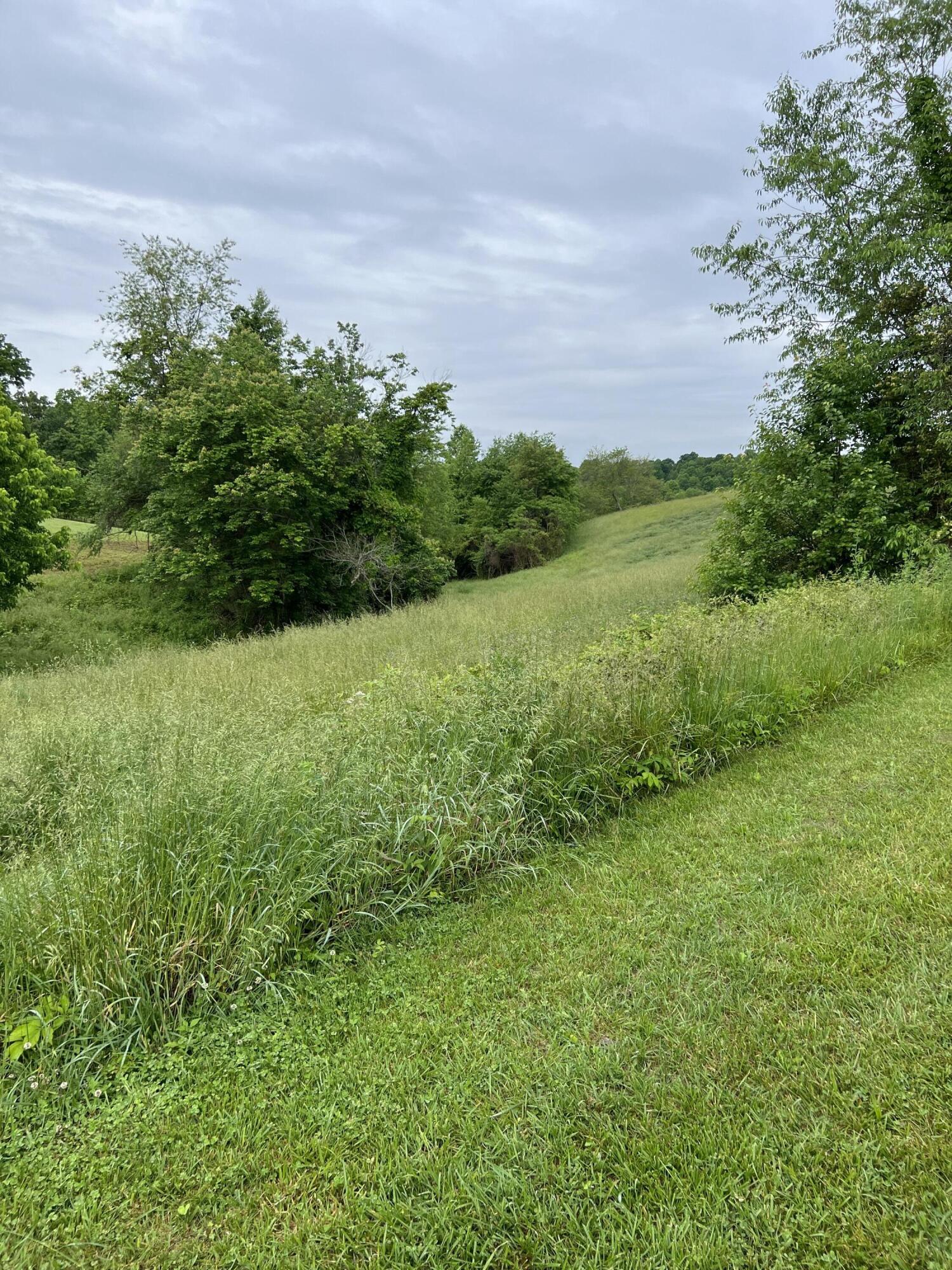 0 Eberle Road McKee, KY 40447 - Photo 3 of 12 IMG_2891