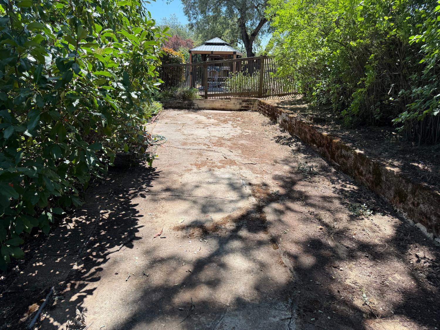 231 Boarman Street Jackson, CA 95642 - Photo 60 of 65 Flat area at rear of lot