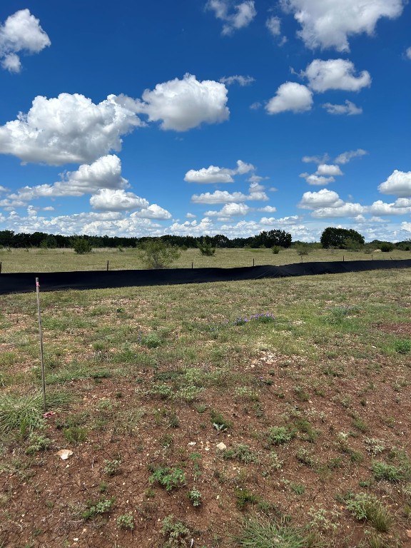 542 Arborland Drive Georgetown, TX 78633 - Photo 2 of 4 a view of an ocean