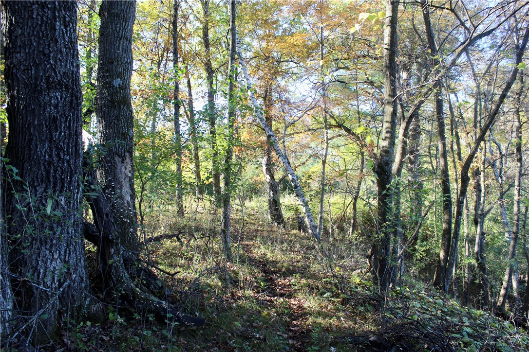 0 South Lowes Creek Road Eau Claire, WI 54701 - Photo 52 of 59