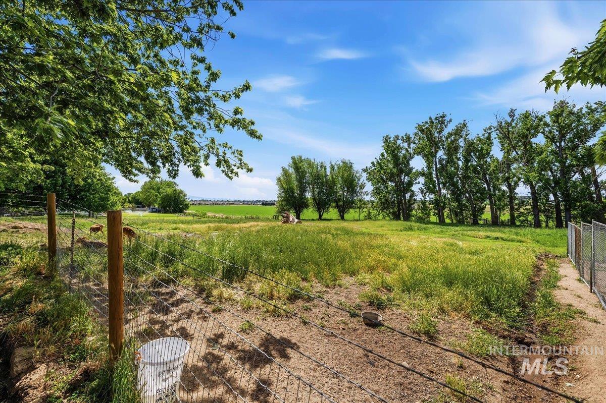 6323 Foothill Road Star, ID 83669 - Photo 34 of 50 Expansive open field with diverse green foliage and mature trees, featuring a wire fence and natural terrain