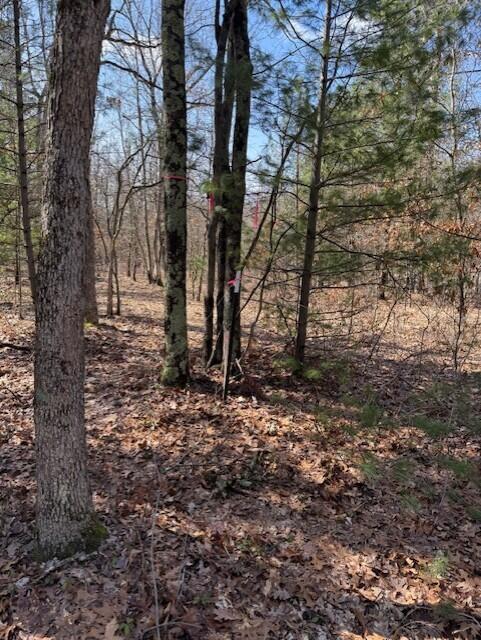 2090 East Roosevelt Road Rothbury, MI 49452 - Photo 12 of 16 thumbnail_IMG_0099