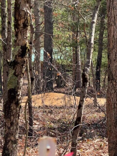 2090 East Roosevelt Road Rothbury, MI 49452 - Photo 14 of 16 thumbnail_IMG_0101