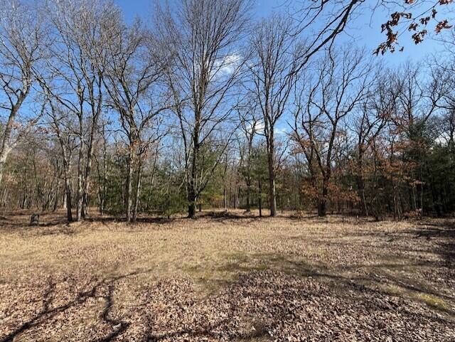 2090 East Roosevelt Road Rothbury, MI 49452 - Photo 8 of 16 thumbnail_IMG_0092
