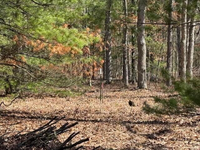 2090 East Roosevelt Road Rothbury, MI 49452 - Photo 9 of 16 thumbnail_IMG_0093