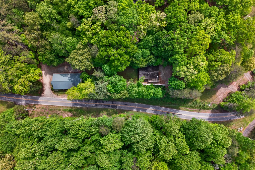 282 West Cherry Road Hayesville, NC 28904 - Photo 3 of 45 a backyard of a house with lots of green space