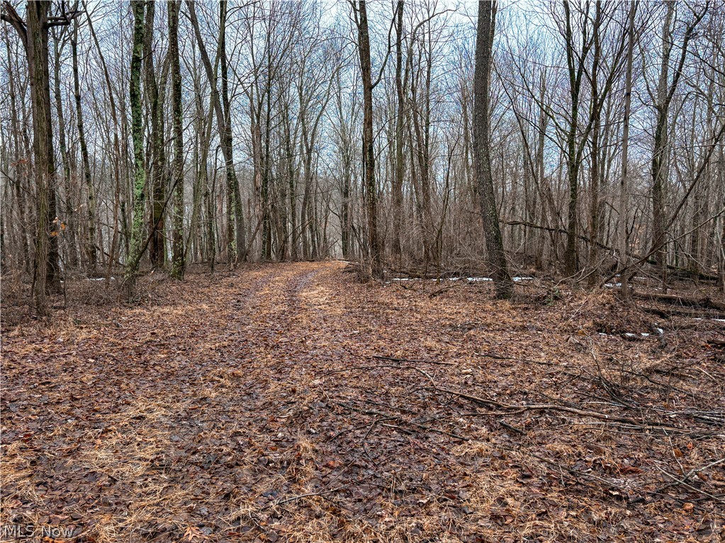 0 Tract 4 Twp Road Woodsfield, OH 43793 - Photo 28 of 34