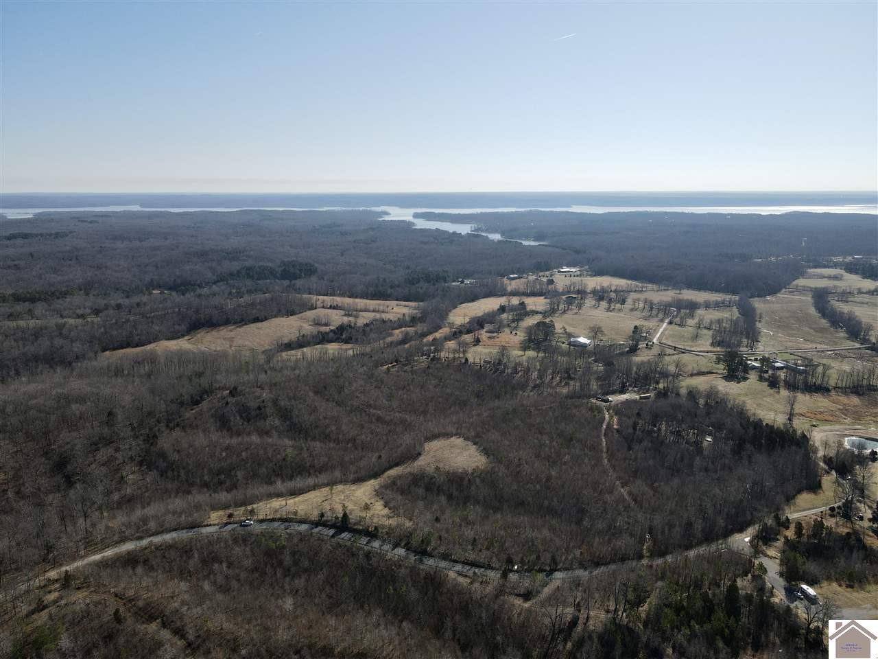 Billie Branch Road New Concord, KY 42076 - Photo 1 of 1 Photo 1