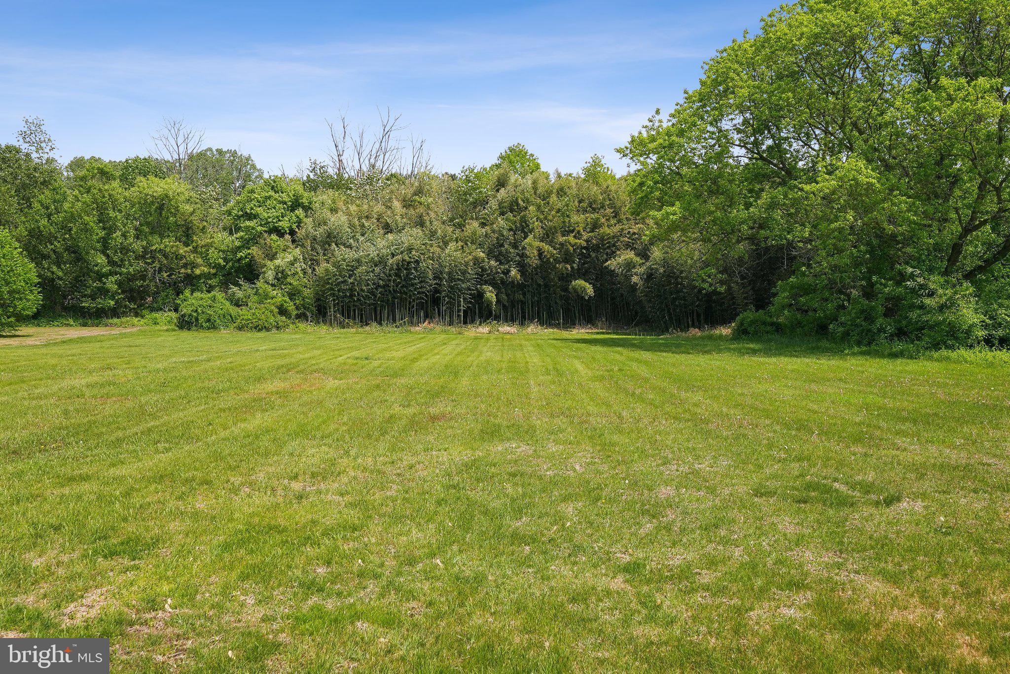 317 Clems Run Mullica Hill, NJ 08062 - Photo 32 of 33 a view of a field with a trees in the background