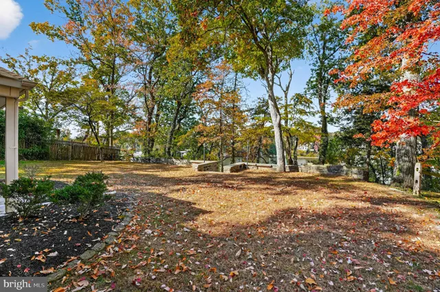 a view of yard with tree