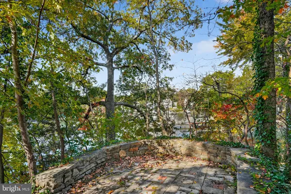 a backyard of a house with lots of trees