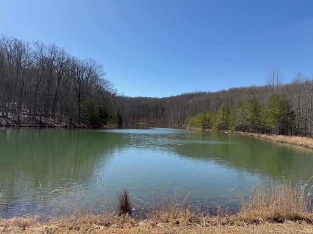 7.1 Sunbeam Lake Loop Road, Unit 7 1 Dunlap, TN 37327 - Photo 1 of 11 1