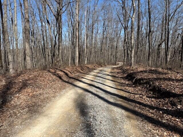 7.1 Sunbeam Lake Loop Road, Unit 7 1 Dunlap, TN 37327 - Photo 11 of 11 12