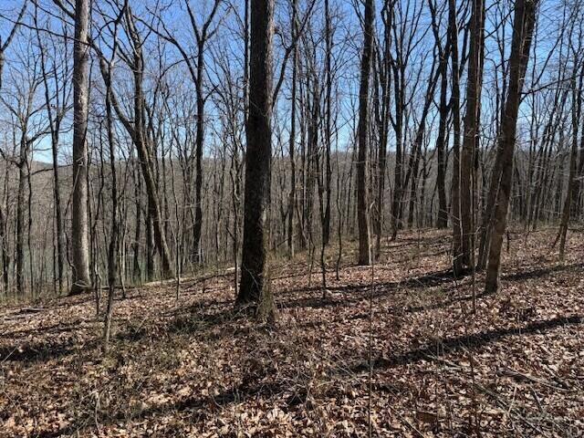 7.1 Sunbeam Lake Loop Road, Unit 7 1 Dunlap, TN 37327 - Photo 4 of 11 5