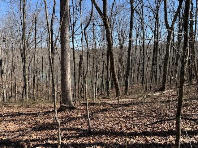 7.1 Sunbeam Lake Loop Road, Unit 7 1 Dunlap, TN 37327 - Photo 6 of 11 8