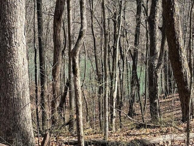 7.1 Sunbeam Lake Loop Road, Unit 7 1 Dunlap, TN 37327 - Photo 7 of 11 9