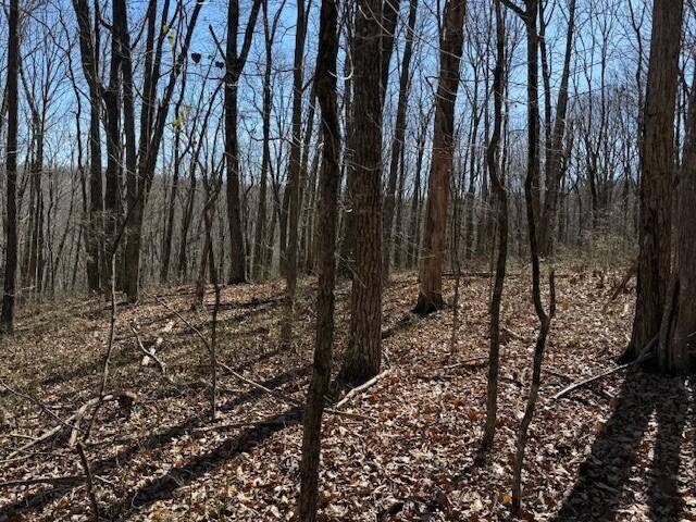 7.1 Sunbeam Lake Loop Road, Unit 7 1 Dunlap, TN 37327 - Photo 9 of 11 11