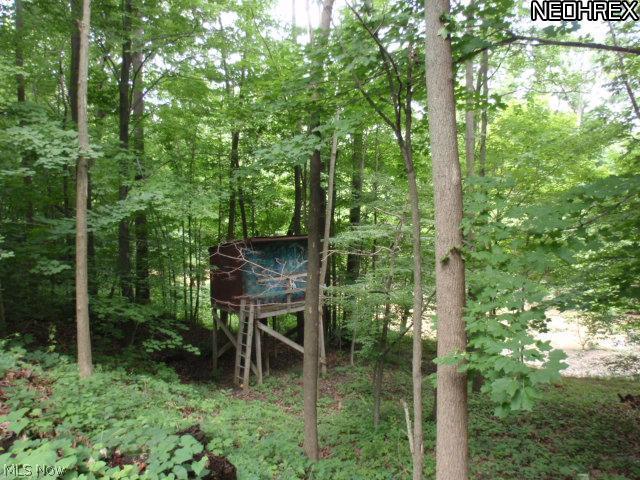 42040 Butternut Ridge Road Elyria, OH 44035 - Photo 20 of 21 Gallery Image 20