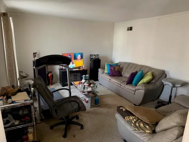 a living room with furniture and a rug
