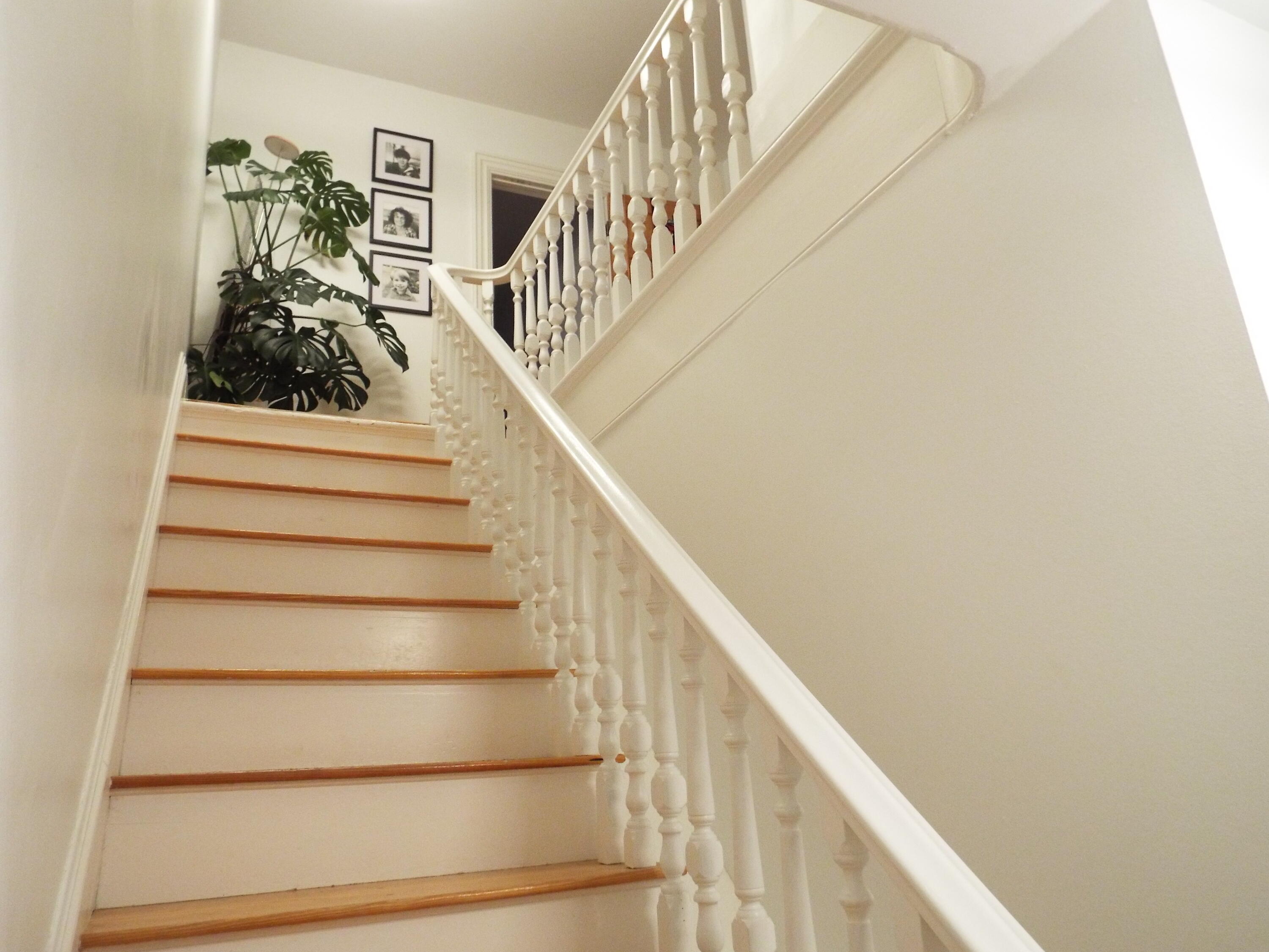 48 6th Street Bangor, ME 04401 - Photo 39 of 55 Moscone 40