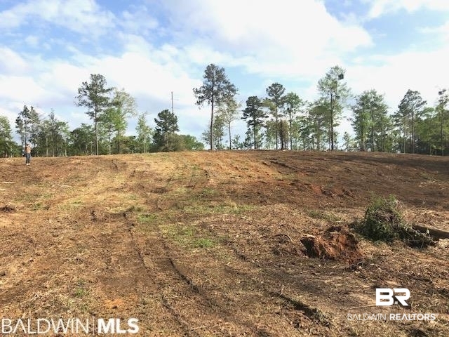 0 West 7th Street Bay Minette, AL 36507 - Photo 3 of 7