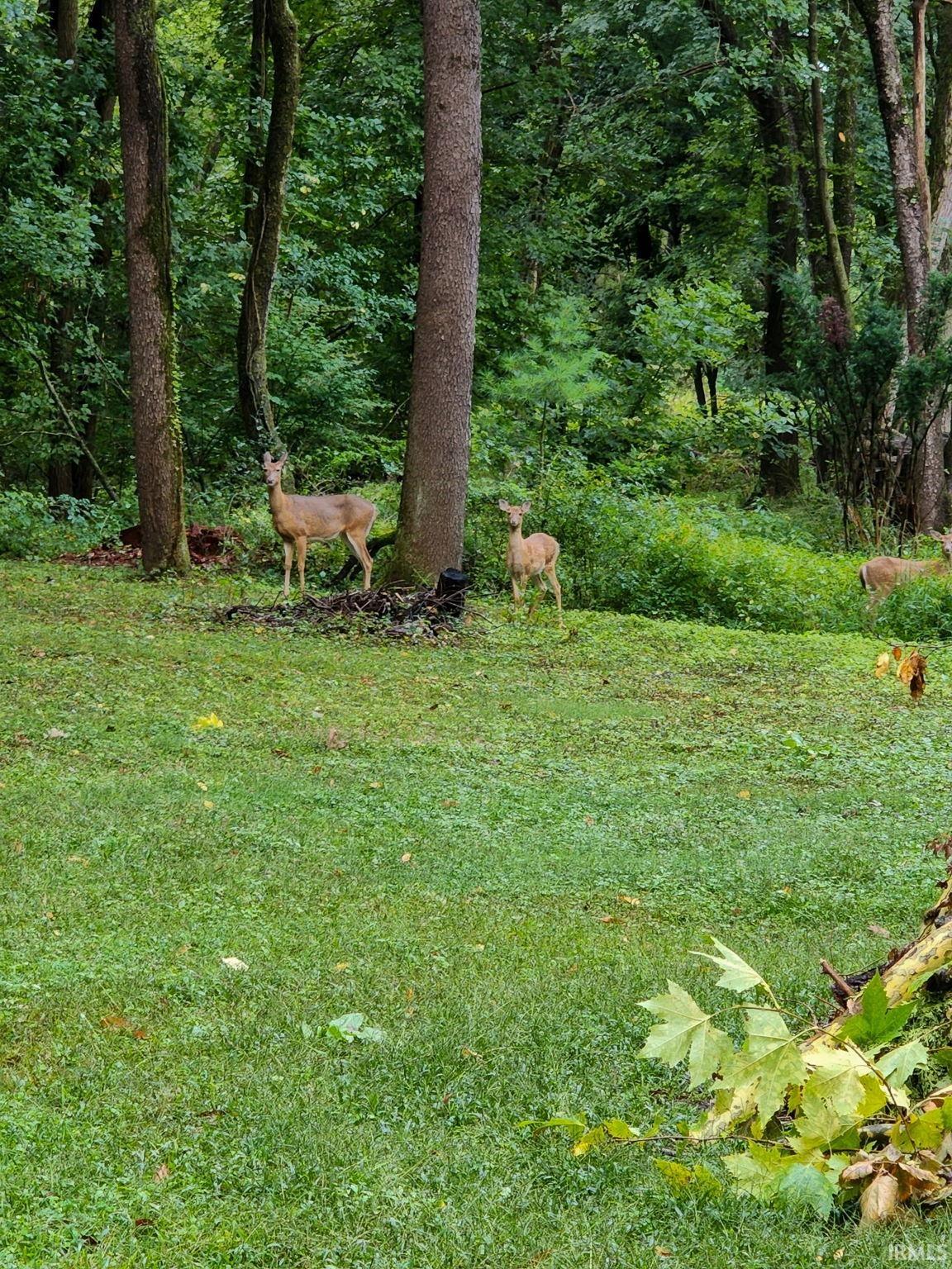 21778 Auten Road South Bend, IN 46628 - Photo 32 of 32