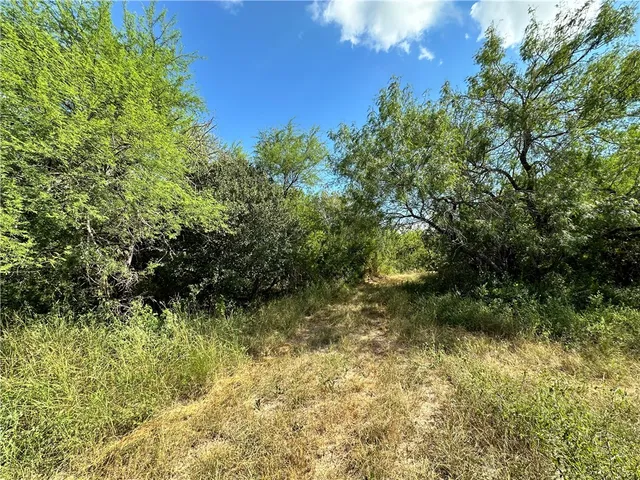a view of a lake with a yard