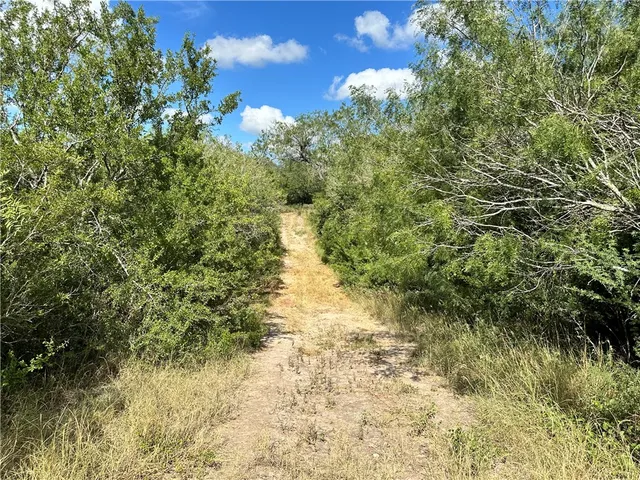 a view of an outdoor space and yard