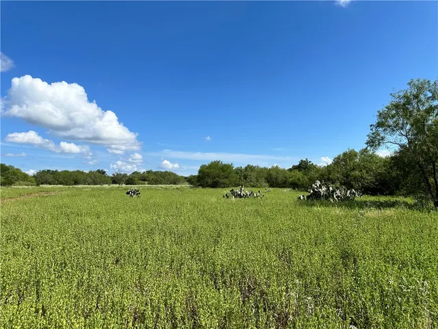 a view of an outdoor space with a lake view