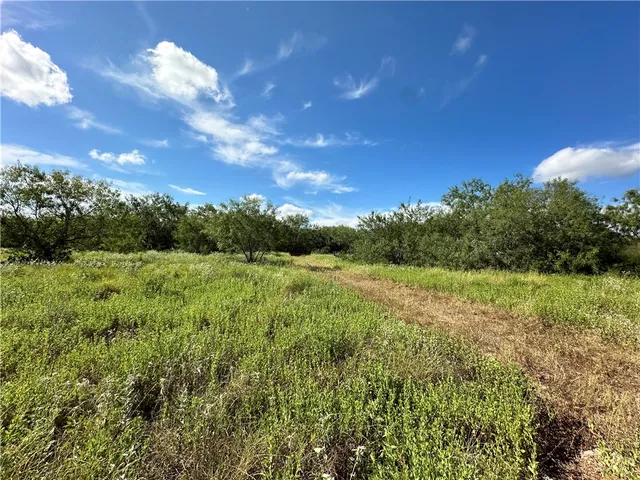 a view of a green field