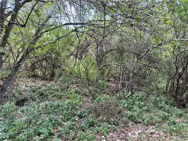 a view of a lake with a big yard