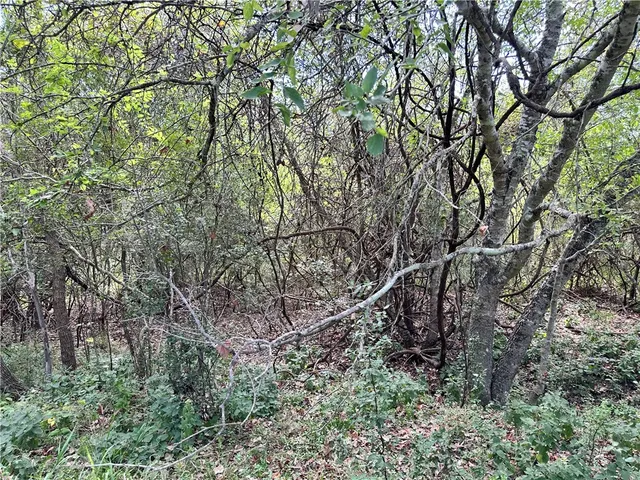 $502,500 | 0 Fm 534, Sandia, TX 78383