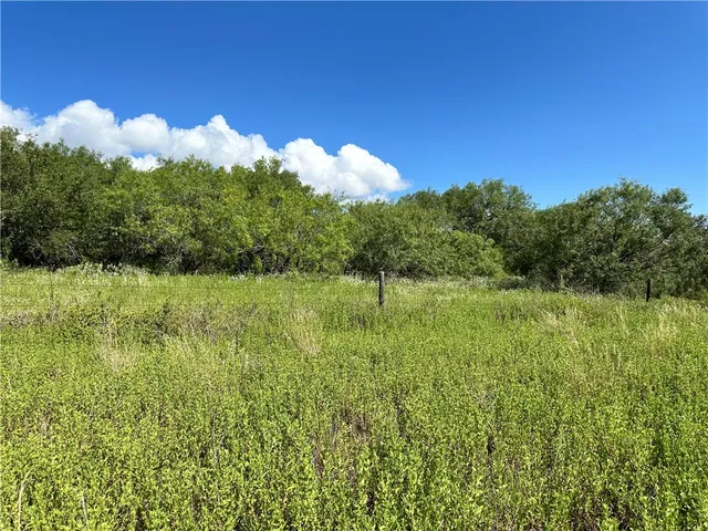 $502,500 | 0 Fm 534, Sandia, TX 78383