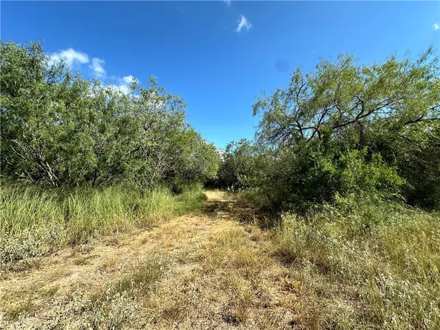 a view of lake with green space