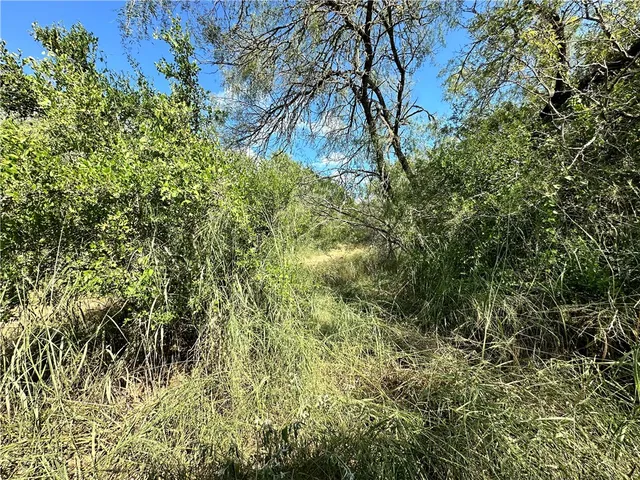 a view of a field with mountains in the background