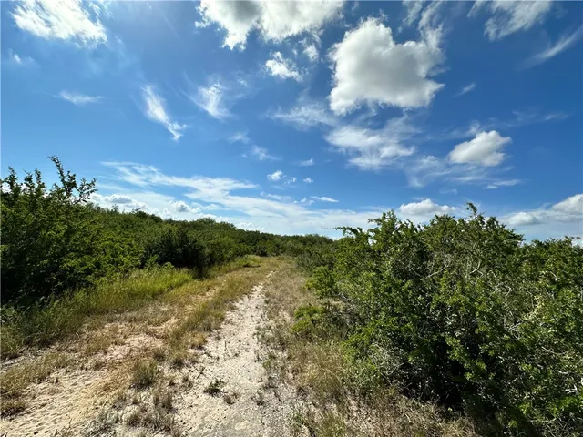 a view of outdoor space and yard