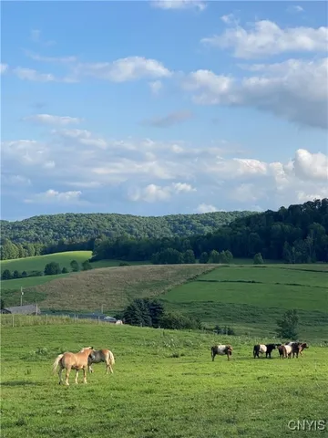 $485,500 | 367 Filburn Road, Richfield, NY 13439