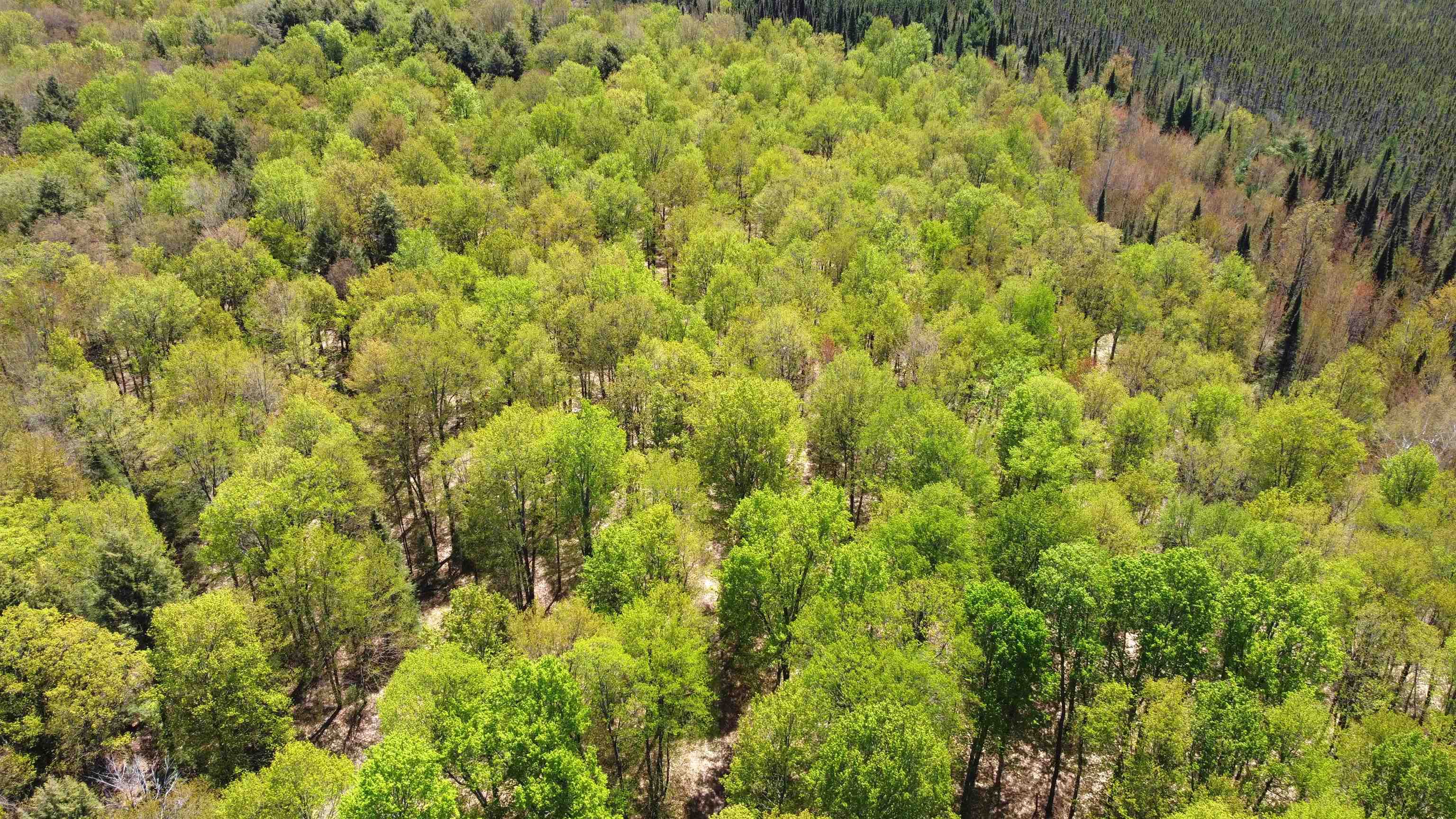 5675 Spider Lake Road Rhinelander, WI 54501 - Photo 67 of 68
