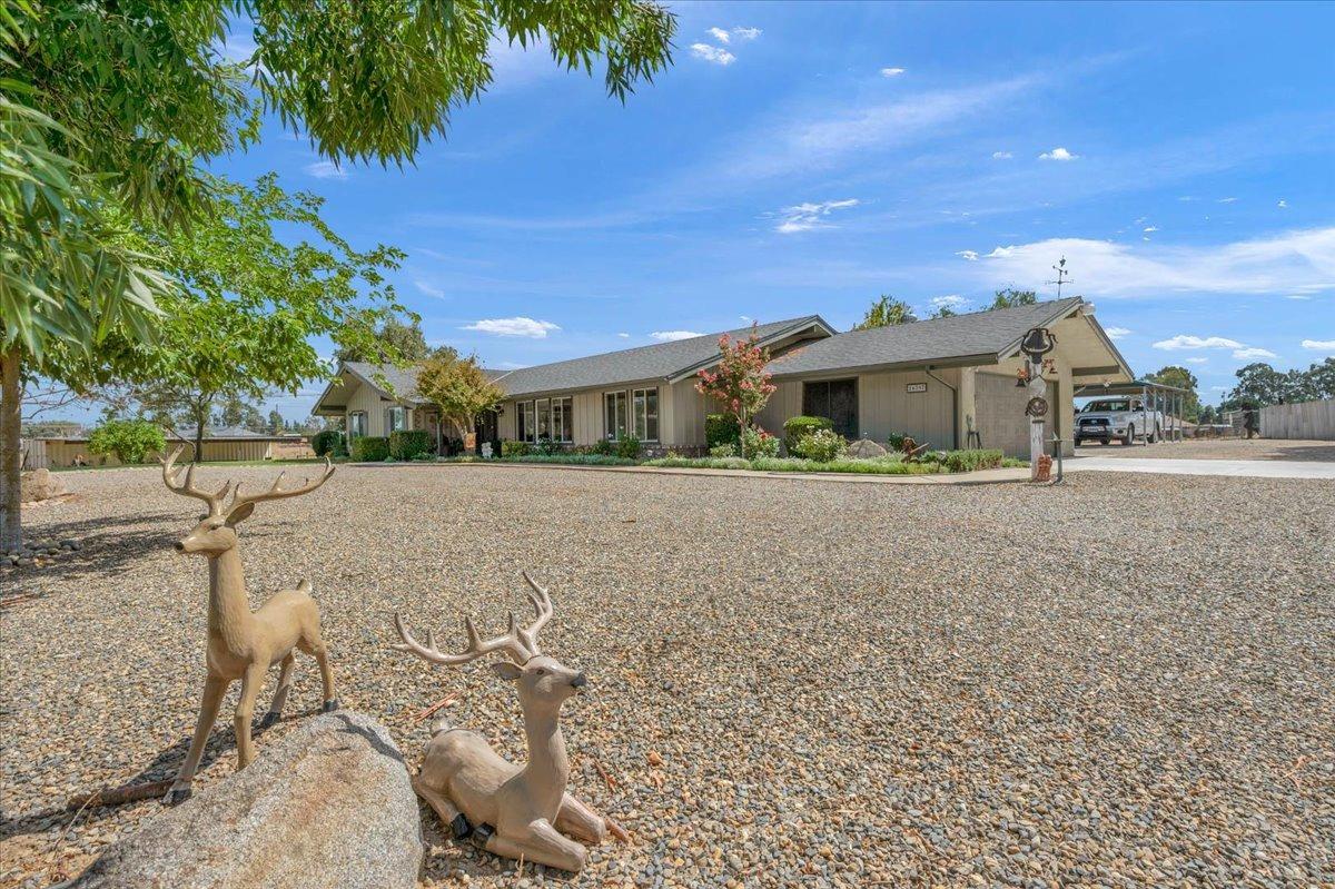 16397 Road 37 Madera, CA 93636 - Photo 14 of 74