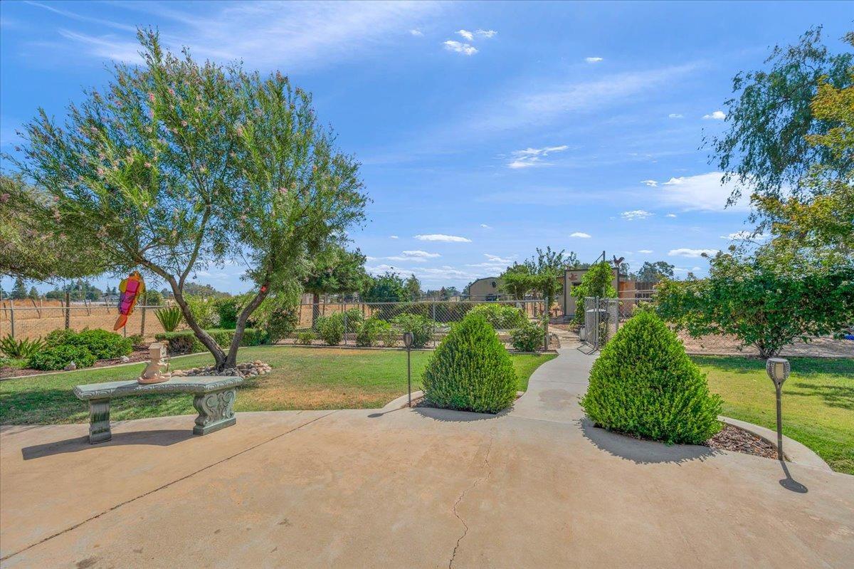 16397 Road 37 Madera, CA 93636 - Photo 30 of 74 a view of a park with large trees